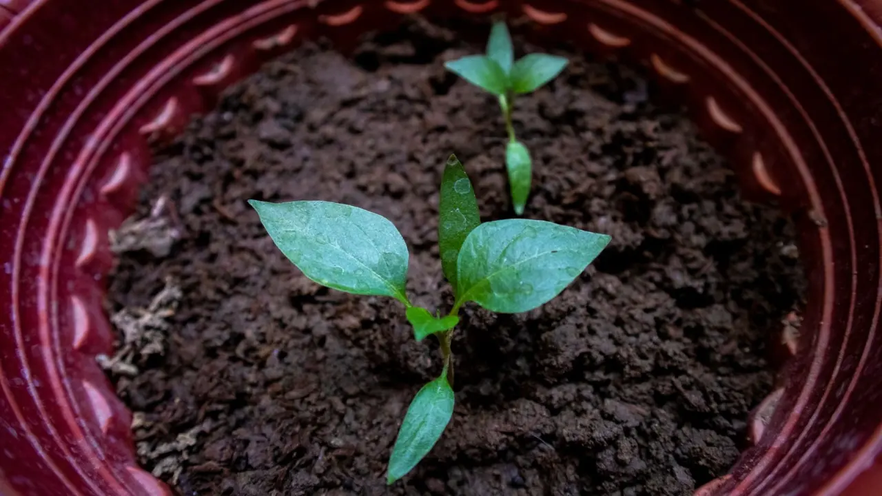 arduino soil moisture sensor